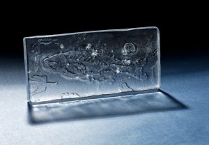 ©Elsbeth Pluimers - Fish Geographic fantasy III - optical glass - 25x11,5 x1 cm - 2016