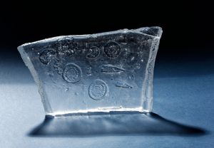 ©Elsbeth Pluimers - Origin of life Geographic fantasy - optical glass - 28x16 x2,5 cm - 2016