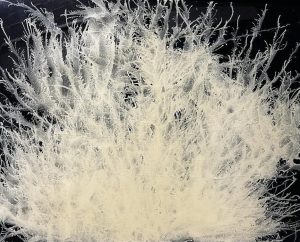 ©Mona Moleo - Existential Storms - Mixed technique on wooden panels - 62 x 52 cm - 2023